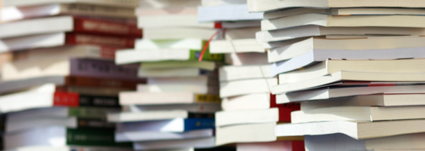 American Educational Studies Association